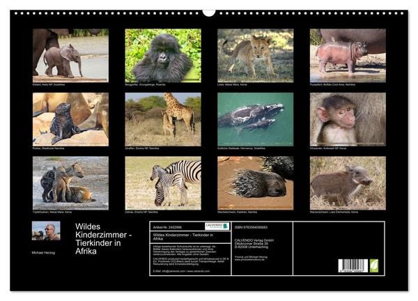 Produktbild: Wildes Kinderzimmer - Tierkinder in Afrika (Wandkalender 2027 DIN A2 quer), CALVENDO Monatskalender