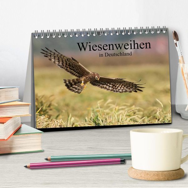 Produktbild: Wiesenweihen in Deutschland (Tischkalender 2026 DIN A5 quer), CALVENDO Monatskalender