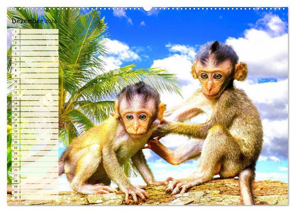 Produktbild: Zauberhafte Affenkinder. S&uuml;&szlig;er geht&acute;s nicht! (hochwertiger Premium Wandkalender 2026 DIN A2 quer), Kunstdruck in Hochglanz