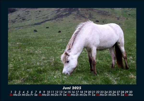 Produktbild: Pferdetraum 2025 Fotokalender DIN A5