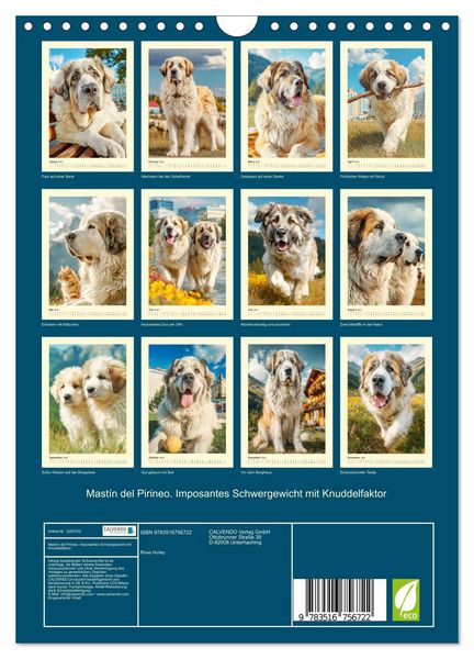 Produktbild: Mast&iacute;n del Pirineo. Imposantes Schwergewicht mit Knuddelfaktor (Wandkalender 2027 DIN A4 hoch), CALVENDO Monatskalender