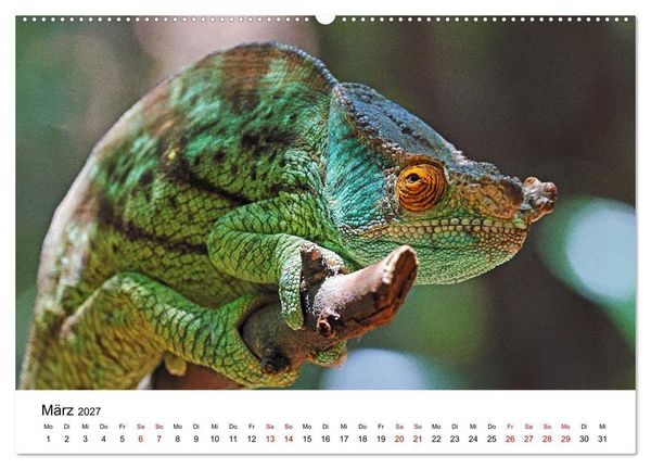 Produktbild: Blickpunkte auf Madagaskar (Wandkalender 2027 DIN A2 quer), CALVENDO Monatskalender