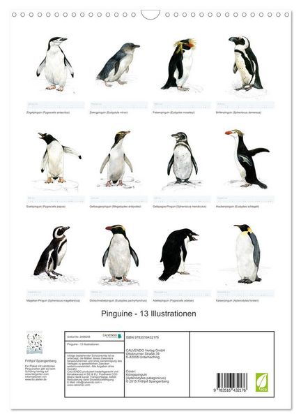 Produktbild: Pinguine - 13 Illustrationen (Wandkalender 2026 DIN A3 hoch), CALVENDO Monatskalender
