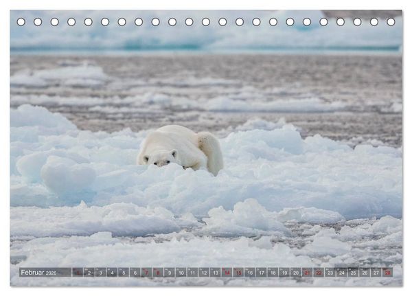 Produktbild: Svalbard-Momente (Tischkalender 2026 DIN A5 quer), CALVENDO Monatskalender