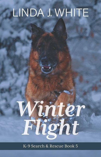 Produktbild: Winter Flight