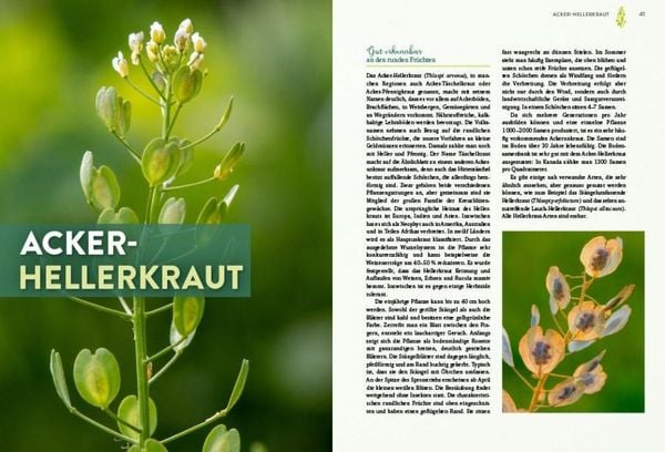 Produktbild: Geheimnisse der Unkr&auml;uter