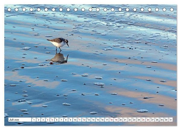 Produktbild: Wintertage auf Norderney (Tischkalender 2026 DIN A5 quer), CALVENDO Monatskalender