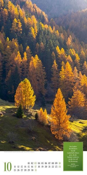 Produktbild: Mythos Wald Literatur-Kalender 2027