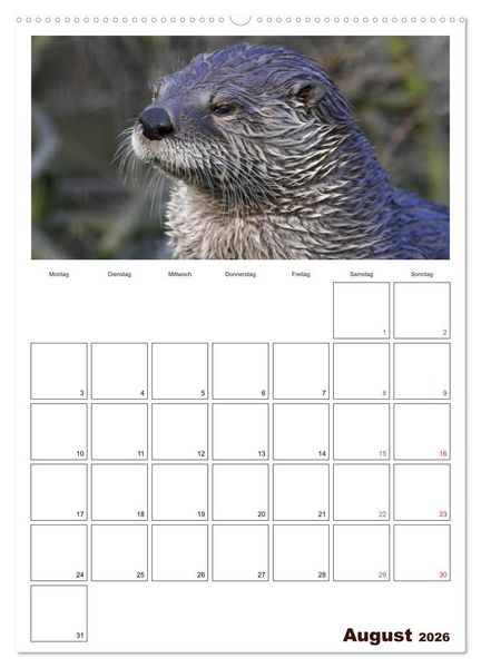 Produktbild: Der Fischotter-Terminplaner (hochwertiger Premium Wandkalender 2026 DIN A2 hoch), Kunstdruck in Hochglanz