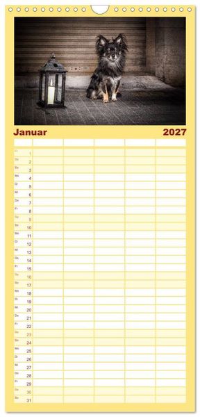 Produktbild: Familienplaner 2027 - Chihuahuas - Cool and Cute mit 5 Spalten (Wandkalender, 21 x 45 cm) CALVENDO