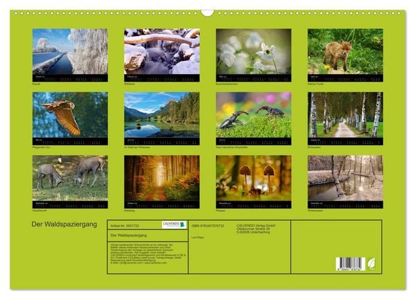 Produktbild: Der Waldspaziergang (Wandkalender 2026 DIN A2 quer), CALVENDO Monatskalender
