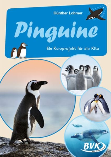 Pinguine, Geheftet von Günther Lohmer, BVK Buch Verlag Kempen GmbH, 978-3-96520-169-9