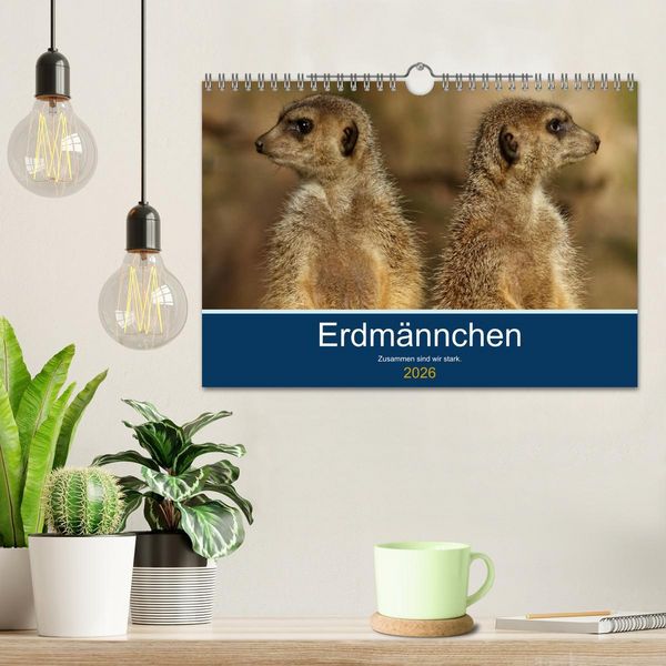Produktbild: Erdm&auml;nnchen - Zusammen sind wir stark (Wandkalender 2026 DIN A4 quer), CALVENDO Monatskalender
