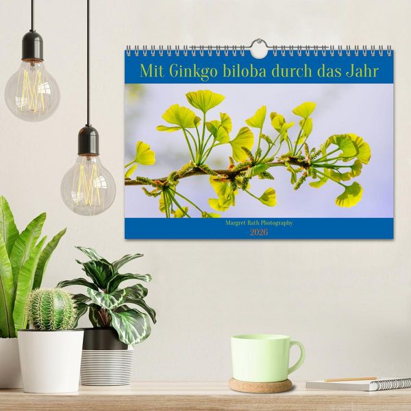 Produktbild: Mit Ginkgo biloba durch das Jahr (Wandkalender 2026 DIN A4 quer), CALVENDO Monatskalender