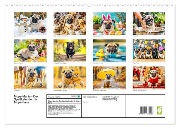 Produktbild: Mops-Mania - Der Spa&szlig;kalender f&uuml;r Mops-Fans (hochwertiger Premium Wandkalender 2026 DIN A2 quer), Kunstdruck in Hochglanz