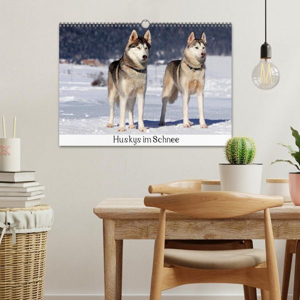 Produktbild: Huskys im Schnee (Wandkalender 2026 DIN A3 quer), CALVENDO Monatskalender