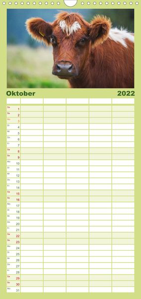 Produktbild: Ein Herz f&uuml;r Rinder - Familienplaner hoch (Wandkalender 2022 , 21 cm x 45 cm, hoch)