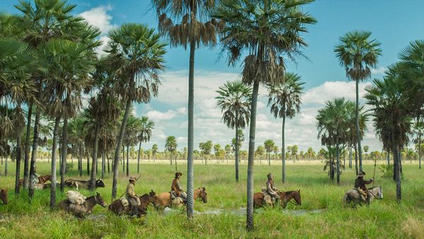 Produktbild: Zama