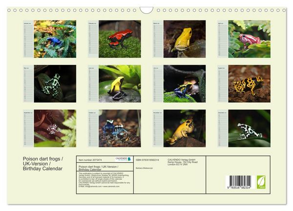 Produktbild: Poison dart frogs / UK-Version / Birthday Calendar (Wall Calendar 2026 DIN A3 landscape), CALVENDO 12 Month Wall Calendar