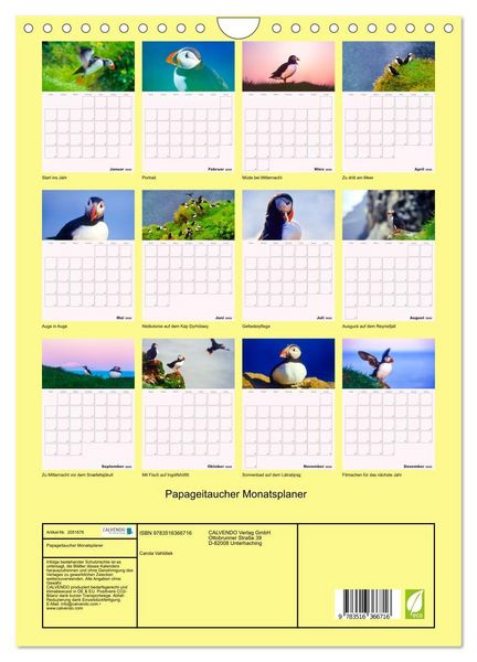 Produktbild: Papageitaucher Monatsplaner (Wandkalender 2026 DIN A4 hoch), CALVENDO Monatskalender