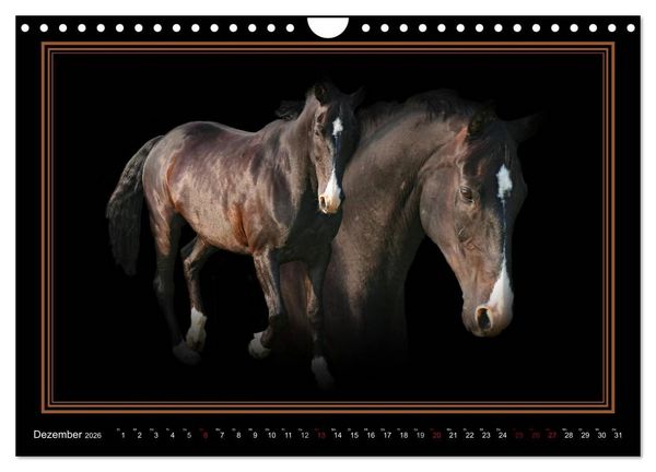 Produktbild: Traumpferde-ART-Collection (Wandkalender 2026 DIN A4 quer), CALVENDO Monatskalender