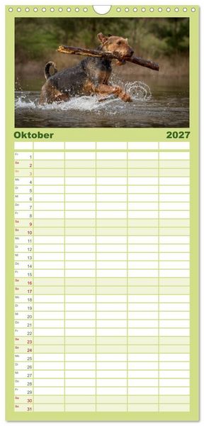 Produktbild: Familienplaner 2027 - Airedale-Terrier, was sonst! mit 5 Spalten (Wandkalender, 21 x 45 cm) CALVENDO