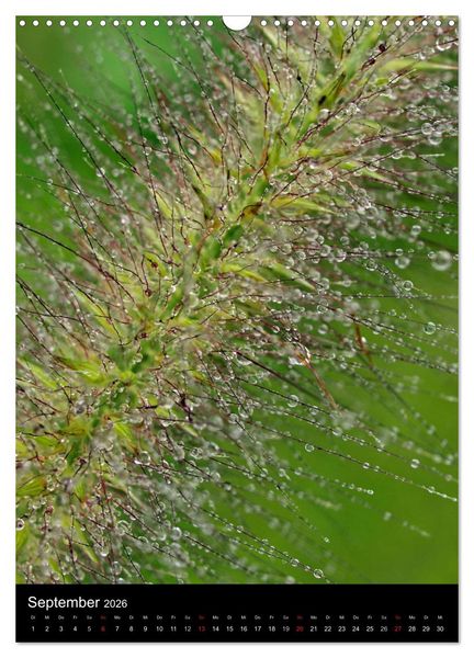 Produktbild: Kunst in der Natur (Wandkalender 2026 DIN A3 hoch), CALVENDO Monatskalender