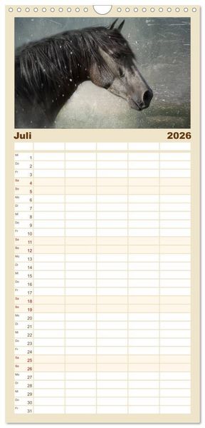 Produktbild: Familienplaner 2026 - Pferde zum Tr&auml;umen mit 5 Spalten (Wandkalender, 21 x 45 cm) CALVENDO