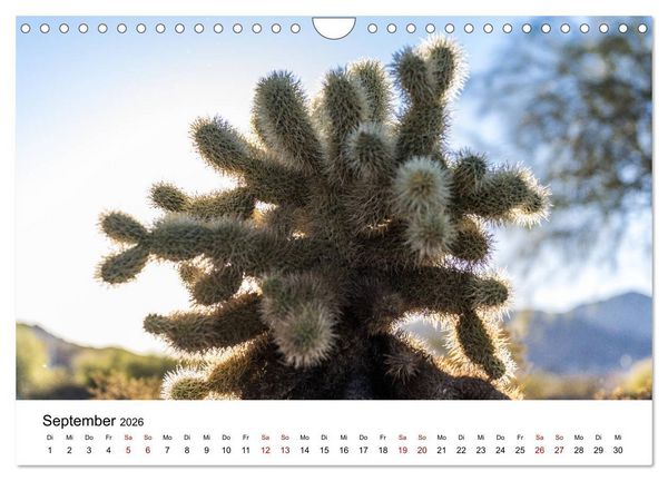 Produktbild: Naturparadiese zwischen Los Angeles und Las Vegas (Wandkalender 2026 DIN A4 quer), CALVENDO Monatskalender