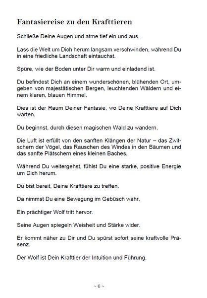 Produktbild: Die magische Welt der Krafttiere