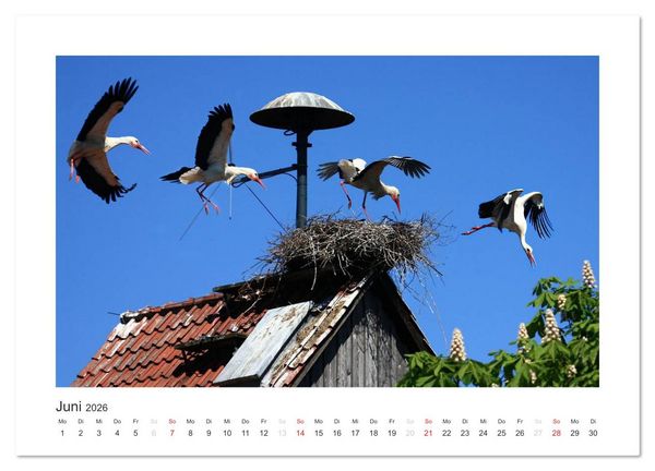 Produktbild: Das Weserbergland (Wandkalender 2026 DIN A3 quer), CALVENDO Monatskalender