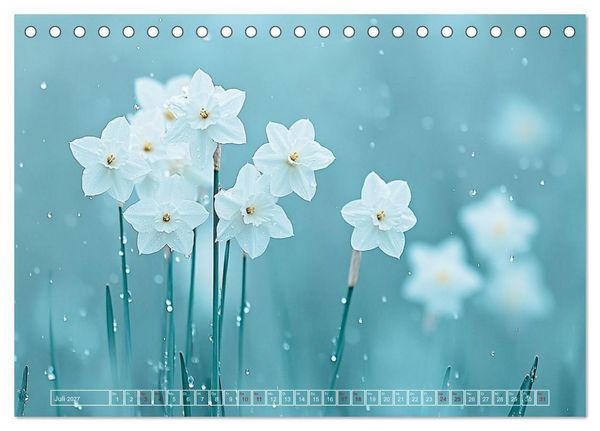Produktbild: Lichtspiele der Natur (Tischkalender 2027 DIN A5 quer), CALVENDO Monatskalender