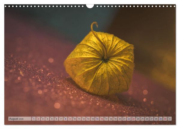 Produktbild: Kunstvolle Physalis-Kleine Frucht von gro&szlig;er Faszination (Wandkalender 2026 DIN A3 quer), CALVENDO Monatskalender
