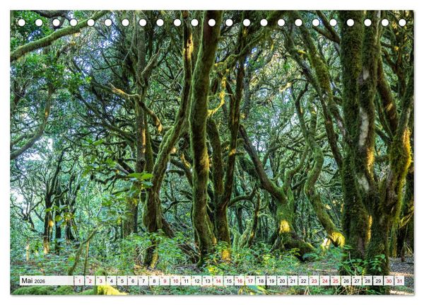 Produktbild: Kanarische Inseln: La Gomera (Tischkalender 2026 DIN A5 quer), CALVENDO Monatskalender