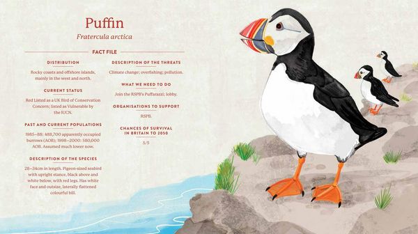 Produktbild: Save Our Species
