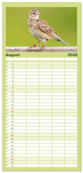 Produktbild: Familienplaner 2026 - V&ouml;gel in unserer Heimat: Kiebitz, Wiedehopf und Turteltaube mit 5 Spalten (Wandkalender, 21 x 45 cm) CALVENDO