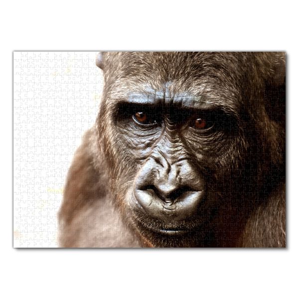 Produktbild: Lais Puzzle Gorilla 1000 Teile