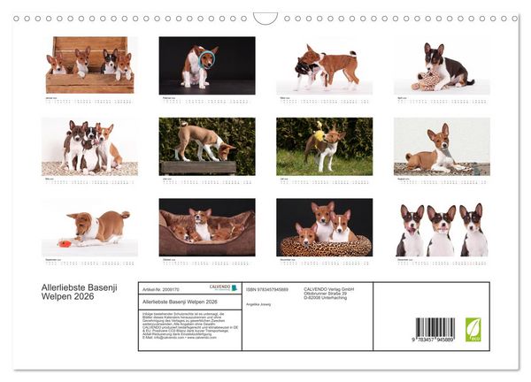 Produktbild: Allerliebste Basenji Welpen 2026 (Wandkalender 2026 DIN A3 quer), CALVENDO Monatskalender