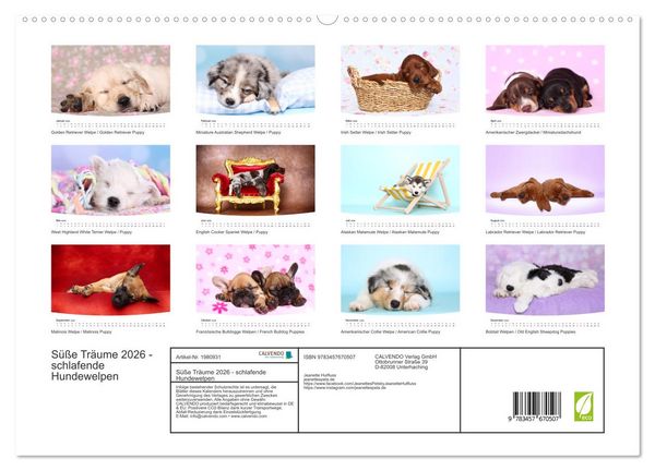 Produktbild: S&uuml;&szlig;e Tr&auml;ume 2026 - schlafende Hundewelpen (hochwertiger Premium Wandkalender 2026 DIN A2 quer), Kunstdruck in Hochglanz