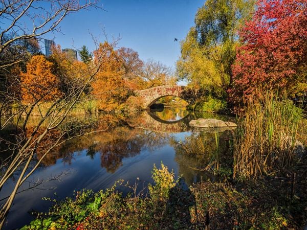 Produktbild: CALVENDO Puzzle Central Park | 1000 Teile Lege-Gr&ouml;&szlig;e 64 &times; 48 cm Foto-Puzzle f&uuml;r gl&uuml;ckliche Stunden