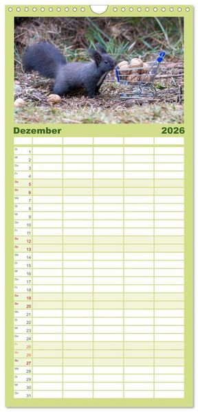 Produktbild: Familienplaner 2026 - Eichh&ouml;rnchenliebe mit 5 Spalten (Wandkalender, 21 x 45 cm) CALVENDO