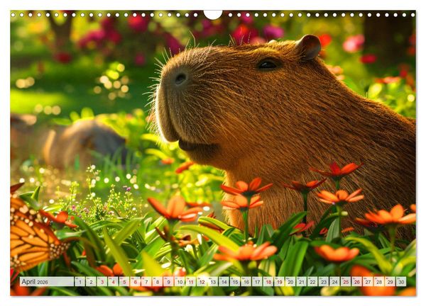 Produktbild: Capybaras im Alltag - Ein Jahr voller Abenteuer (Wandkalender 2026 DIN A3 quer), CALVENDO Monatskalender