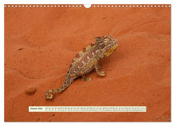 Produktbild: Reptilien des s&uuml;dlichen Afrikas (Wandkalender 2026 DIN A3 quer), CALVENDO Monatskalender