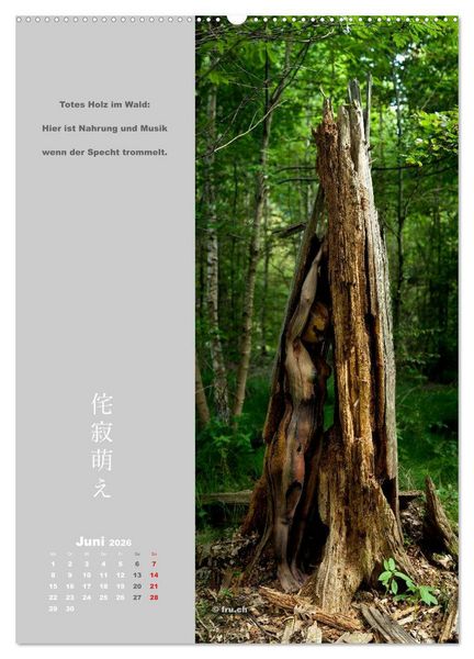 Produktbild: wabi sabi moe &mdash; bewundernswert verg&auml;nglich erotisch &mdash; Akt/Bodypainting (hochwertiger Premium Wandkalender 2026 DIN A2 hoch), Kunstdruck in Hochglanz