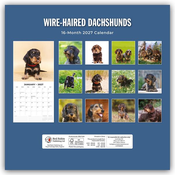 Produktbild: Wire-Haired Dachshunds &ndash; Rauhaardackel 2027 &ndash; 16-Monatskalender