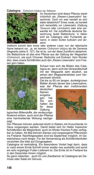 Produktbild: Landschildkr&ouml;ten-Futterpflanzen