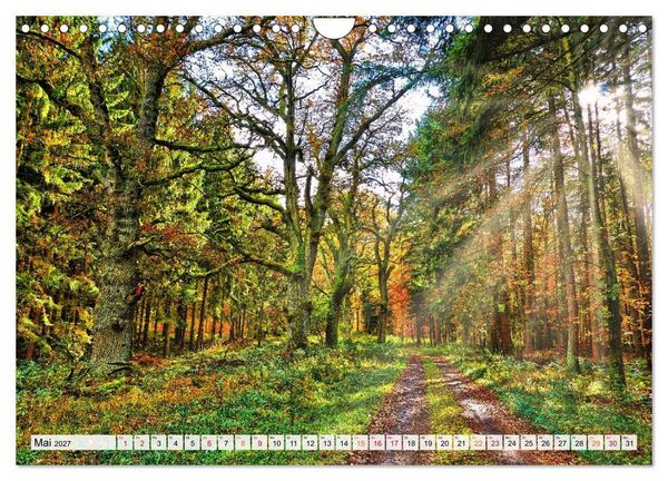 Produktbild: Naturpark Reinhardswald - Wo die Sababurg auf die Weser trifft (Wandkalender 2027 DIN A4 quer), CALVENDO Monatskalender