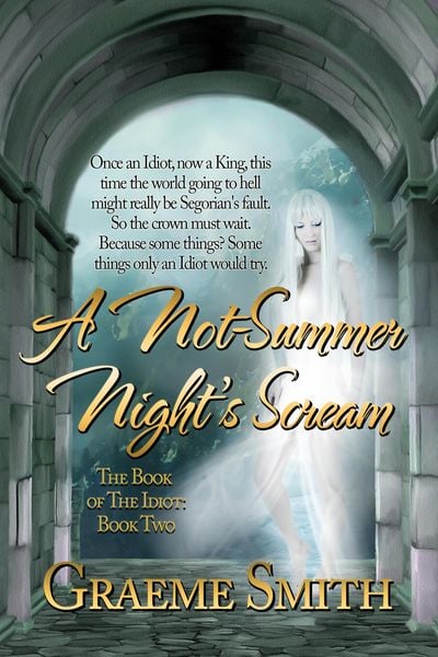 Produktbild: A Not Summer Night's Scream (The Book of the Idiot, #2)