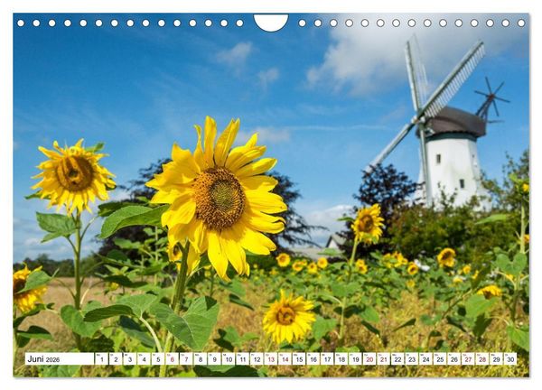 Produktbild: Flensburger F&ouml;rde: Eine Reise durch Deutschlands hohen Norden (Wandkalender 2026 DIN A4 quer), CALVENDO Monatskalender