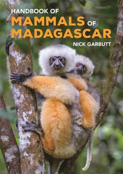 Produktbild: Handbook of Mammals of Madagascar